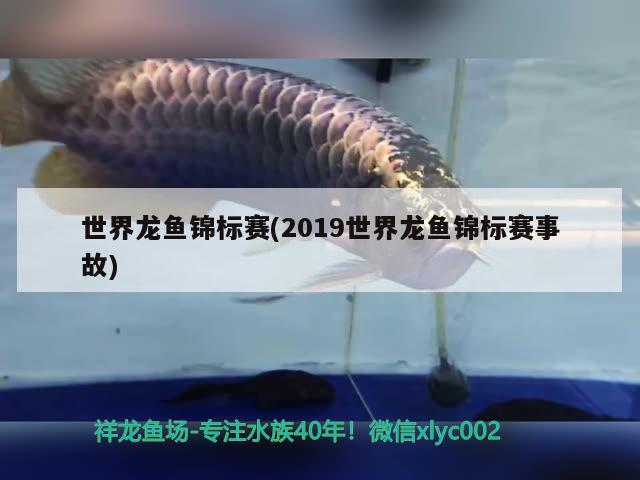 世界龍魚錦標(biāo)賽(2019世界龍魚錦標(biāo)賽事故)