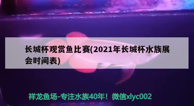 長城杯觀賞魚比賽(2021年長城杯水族展會時間表) 水族展會