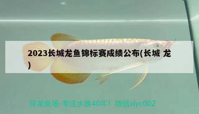 2023長城龍魚錦標(biāo)賽成績公布(長城龍) 2024第28屆中國國際寵物水族展覽會(huì)CIPS（長城寵物展2024 CIPS）