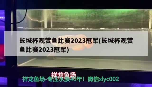 長城杯觀賞魚比賽2023冠軍(長城杯觀賞魚比賽2023冠軍)