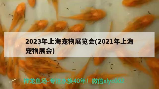 2023年上海寵物展覽會(2021年上海寵物展會) 2024第28屆中國國際寵物水族展覽會CIPS（長城寵物展2024 CIPS）