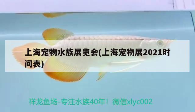 上海寵物水族展覽會(上海寵物展2021時間表) 水族展會