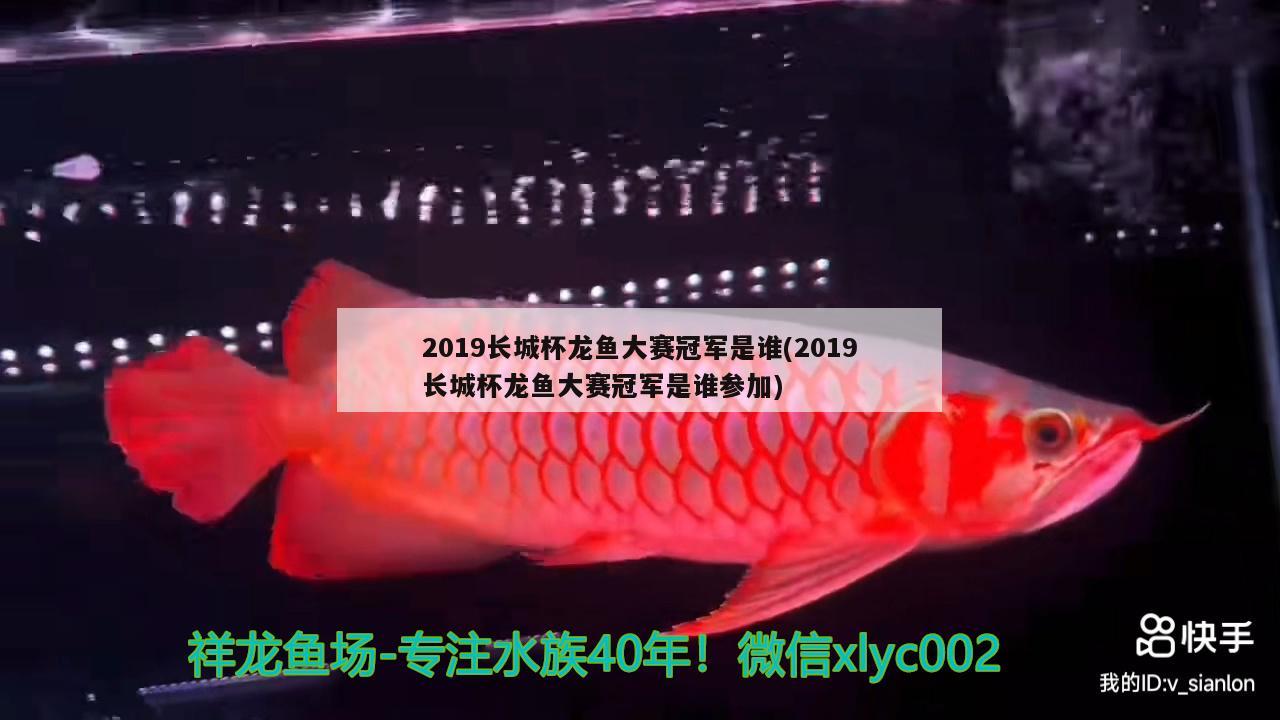 2019長城杯龍魚大賽冠軍是誰(2019長城杯龍魚大賽冠軍是誰參加)