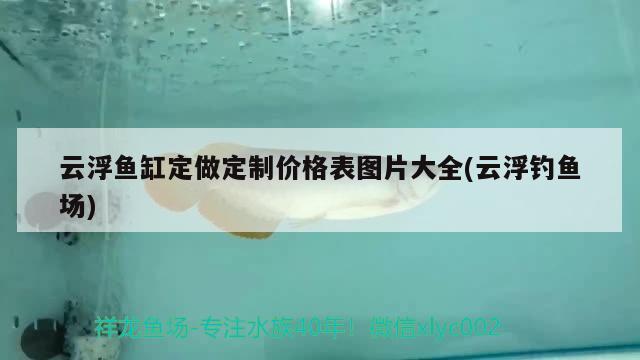 云浮魚缸定做定制價(jià)格表圖片大全(云浮釣魚場(chǎng))