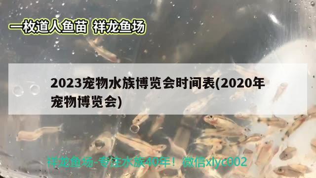 2023寵物水族博覽會時間表(2020年寵物博覽會)