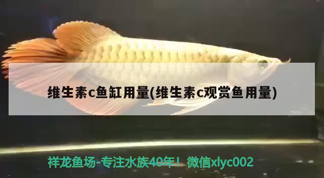 維生素c魚缸用量(維生素c觀賞魚用量)