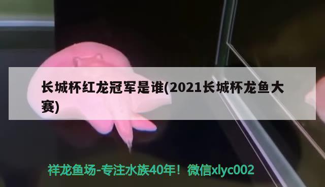 長(zhǎng)城杯紅龍冠軍是誰(shuí)(2021長(zhǎng)城杯龍魚(yú)大賽) 2024第28屆中國(guó)國(guó)際寵物水族展覽會(huì)CIPS（長(zhǎng)城寵物展2024 CIPS）