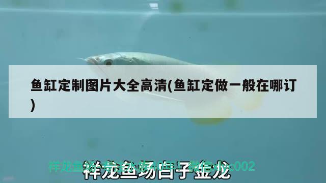 魚缸定制圖片大全高清(魚缸定做一般在哪訂)