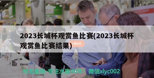 2023長城杯觀賞魚比賽(2023長城杯觀賞魚比賽結(jié)果)