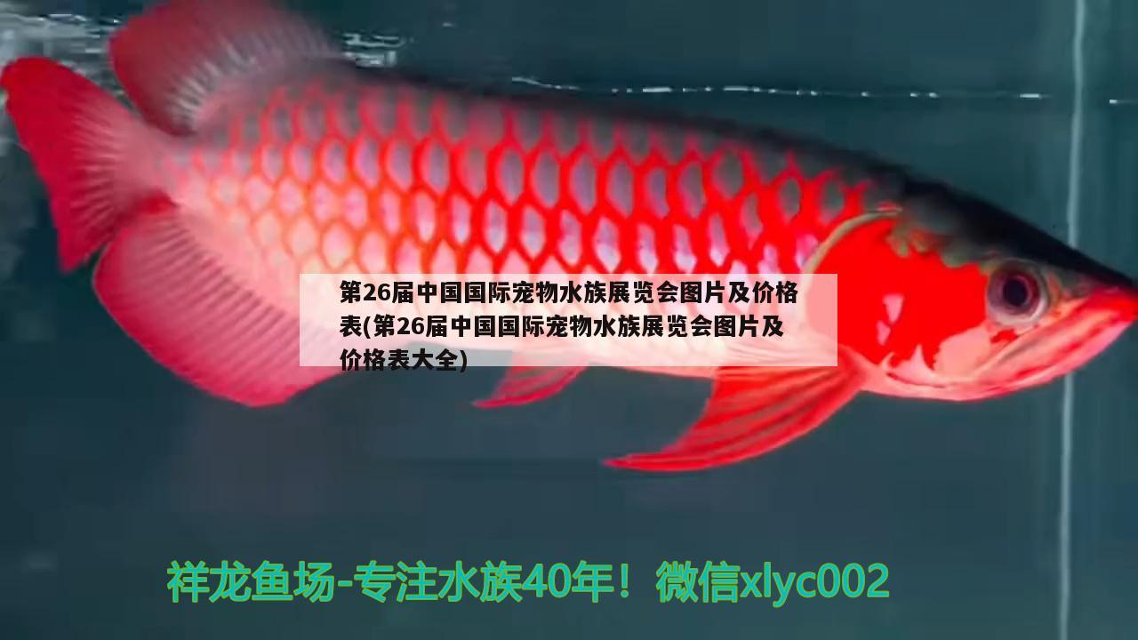 第26屆中國(guó)國(guó)際寵物水族展覽會(huì)圖片及價(jià)格表(第26屆中國(guó)國(guó)際寵物水族展覽會(huì)圖片及價(jià)格表大全)