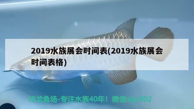 2019水族展會(huì)時(shí)間表(2019水族展會(huì)時(shí)間表格) 水族展會(huì)