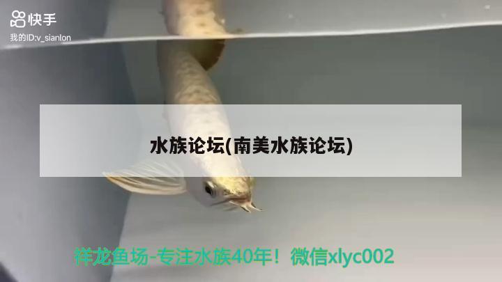 水族論壇(南美水族論壇)