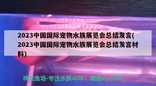 2023中國(guó)國(guó)際寵物水族展覽會(huì)總結(jié)發(fā)言(2023中國(guó)國(guó)際寵物水族展覽會(huì)總結(jié)發(fā)言材料) 水族展會(huì)