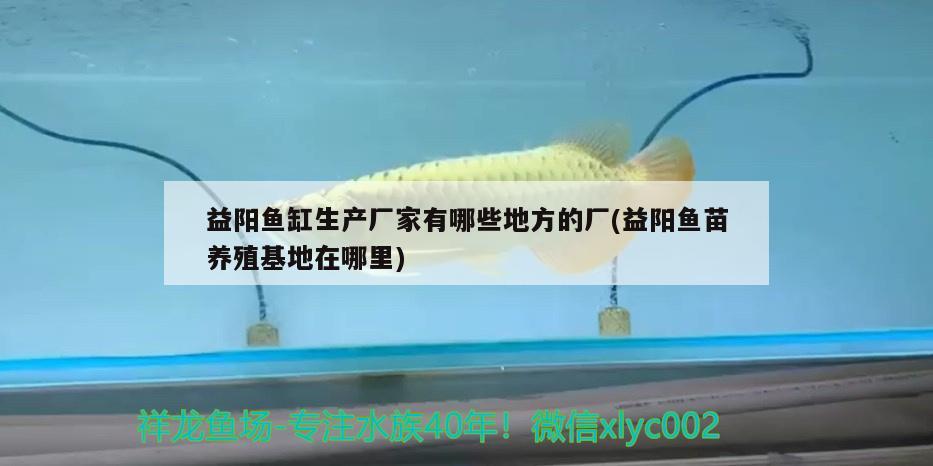 益陽魚缸生產(chǎn)廠家有哪些地方的廠(益陽魚苗養(yǎng)殖基地在哪里)