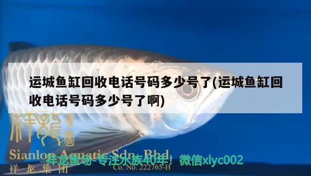 運(yùn)城魚(yú)缸回收電話號(hào)碼多少號(hào)了(運(yùn)城魚(yú)缸回收電話號(hào)碼多少號(hào)了啊) 祥龍金禾金龍魚(yú)