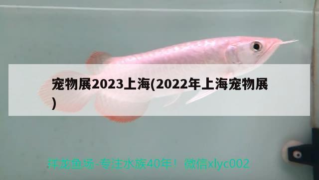 寵物展2023上海(2022年上海寵物展)