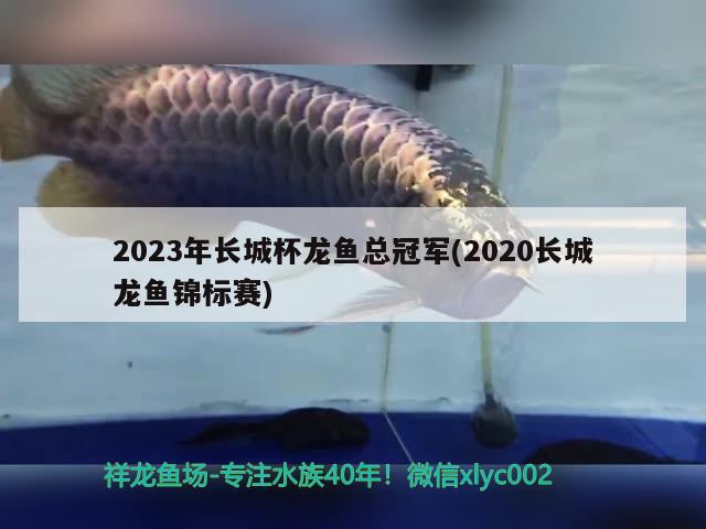 2023年長城杯龍魚總冠軍(2020長城龍魚錦標(biāo)賽)