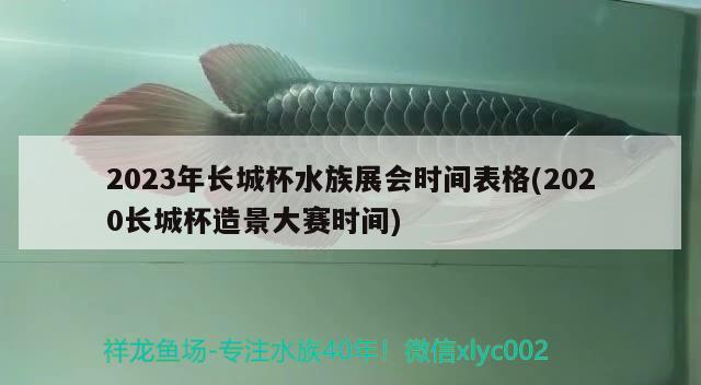 2023年長城杯水族展會(huì)時(shí)間表格(2020長城杯造景大賽時(shí)間) 水族展會(huì) 第1張