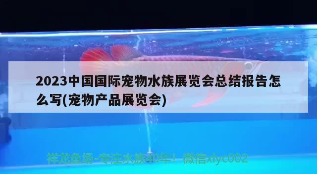 2023中國國際寵物水族展覽會總結(jié)報告怎么寫(寵物產(chǎn)品展覽會)