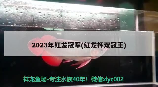 2023年紅龍冠軍(紅龍杯雙冠王) 2024第28屆中國國際寵物水族展覽會CIPS（長城寵物展2024 CIPS）