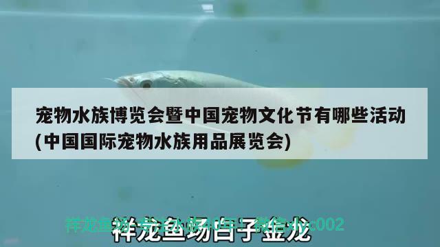 寵物水族博覽會(huì)暨中國寵物文化節(jié)有哪些活動(dòng)(中國國際寵物水族用品展覽會(huì)) 水族用品