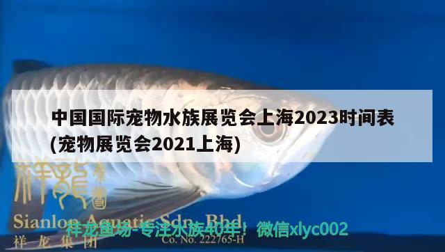 中國國際寵物水族展覽會上海2023時間表(寵物展覽會2021上海) 水族展會