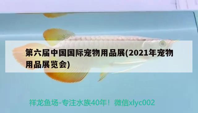 第六屆中國(guó)國(guó)際寵物用品展(2021年寵物用品展覽會(huì)) 2024第28屆中國(guó)國(guó)際寵物水族展覽會(huì)CIPS（長(zhǎng)城寵物展2024 CIPS）