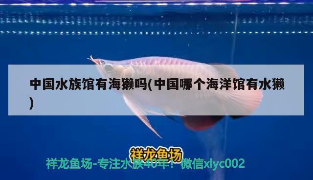 中國(guó)水族館有海獺嗎(中國(guó)哪個(gè)海洋館有水獺) 2024第28屆中國(guó)國(guó)際寵物水族展覽會(huì)CIPS（長(zhǎng)城寵物展2024 CIPS） 第2張