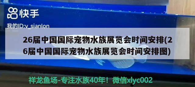 26屆中國國際寵物水族展覽會時間安排(26屆中國國際寵物水族展覽會時間安排圖) 水族展會