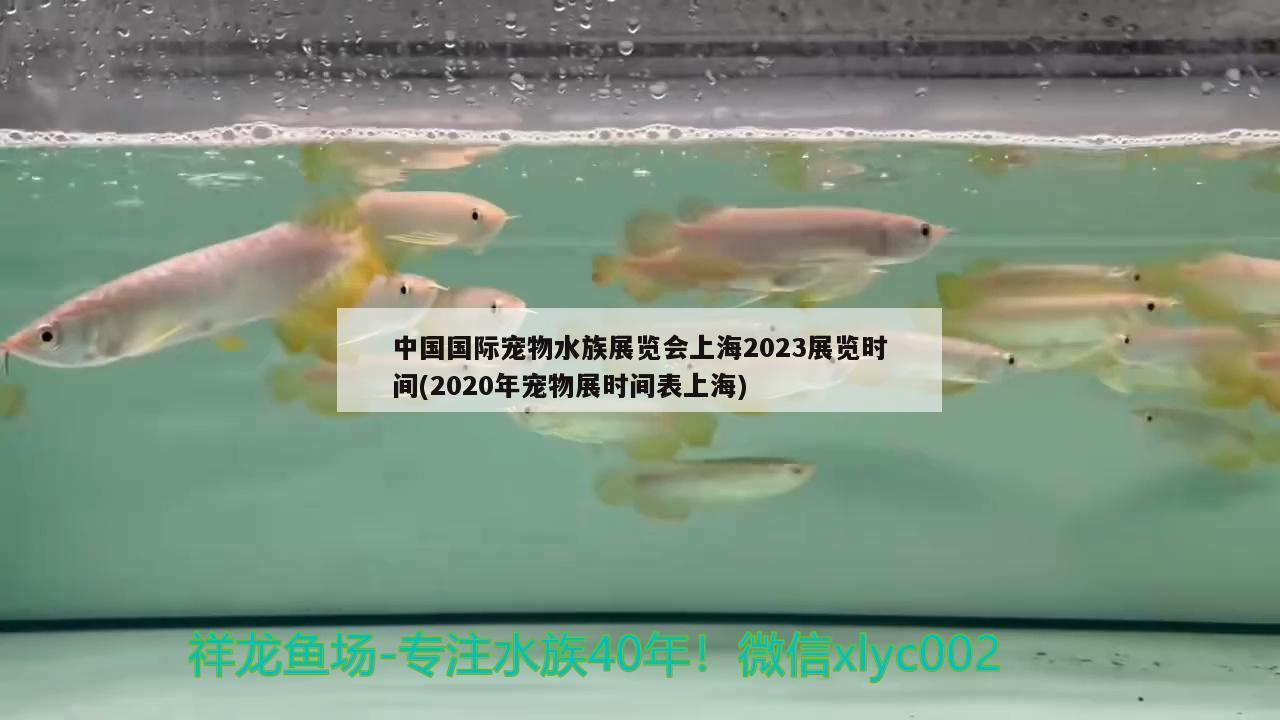 中國國際寵物水族展覽會(huì)上海2023展覽時(shí)間(2020年寵物展時(shí)間表上海) 水族展會(huì)