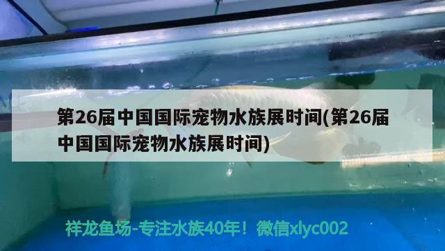 第26屆中國國際寵物水族展時(shí)間(第26屆中國國際寵物水族展時(shí)間)