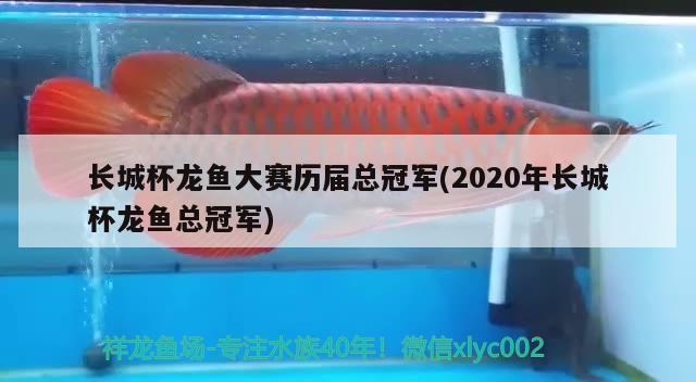 長城杯龍魚大賽歷屆總冠軍(2020年長城杯龍魚總冠軍) 2024第28屆中國國際寵物水族展覽會CIPS（長城寵物展2024 CIPS）