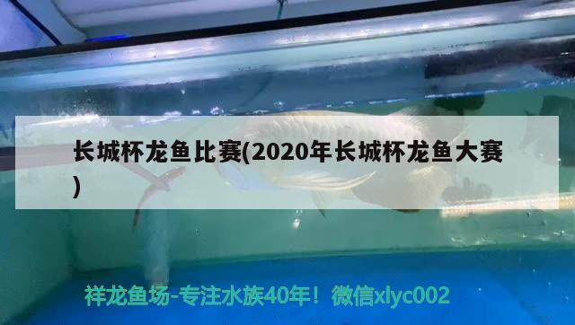 長(zhǎng)城杯龍魚(yú)比賽(2020年長(zhǎng)城杯龍魚(yú)大賽)