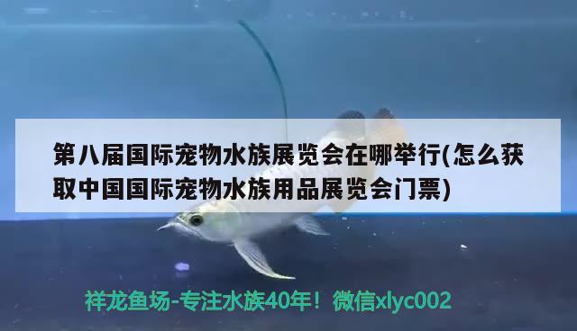 第八屆國際寵物水族展覽會(huì)在哪舉行(怎么獲取中國國際寵物水族用品展覽會(huì)門票)