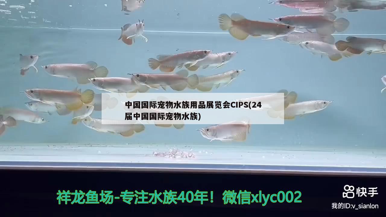 中國國際寵物水族用品展覽會CIPS(24屆中國國際寵物水族)