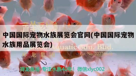 中國國際寵物水族展覽會官網(wǎng)(中國國際寵物水族用品展覽會) 水族展會