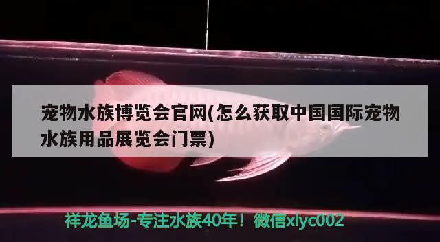 寵物水族博覽會官網(wǎng)(怎么獲取中國國際寵物水族用品展覽會門票)