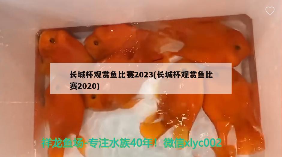 長(zhǎng)城杯觀賞魚比賽2023(長(zhǎng)城杯觀賞魚比賽2020) 2025第29屆中國(guó)國(guó)際寵物水族展覽會(huì)CIPS（長(zhǎng)城寵物展2025 CIPS）