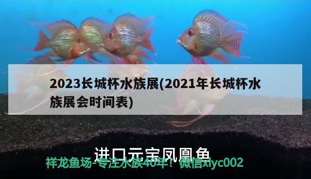 2023長城杯水族展(2021年長城杯水族展會時間表) 水族展會