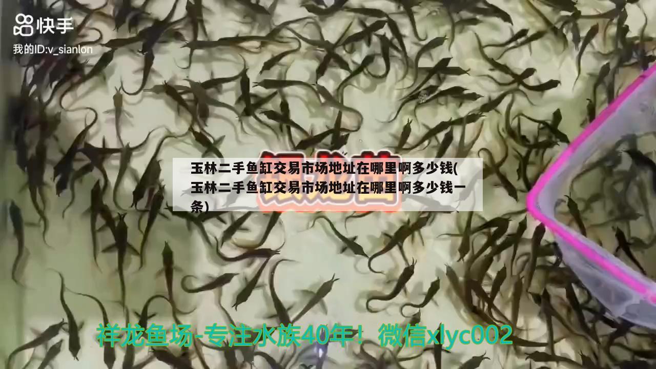 玉林二手魚缸交易市場地址在哪里啊多少錢(玉林二手魚缸交易市場地址在哪里啊多少錢一條) 養(yǎng)魚知識