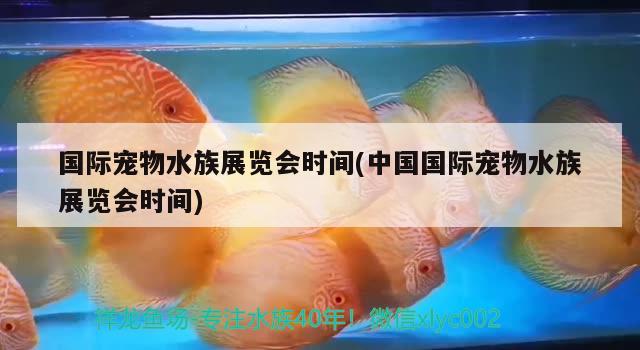 國際寵物水族展覽會時間(中國國際寵物水族展覽會時間) 水族展會