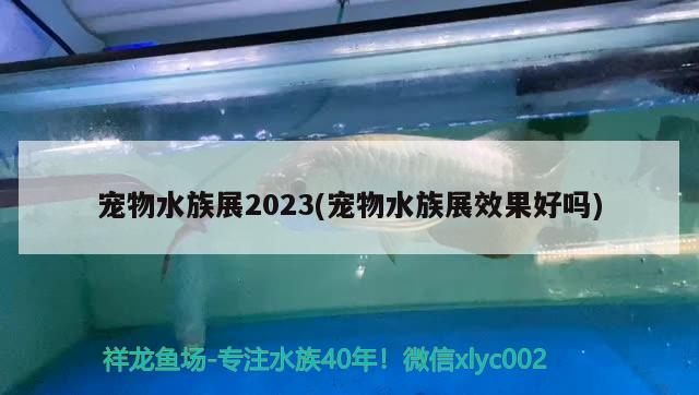 寵物水族展2023(寵物水族展效果好嗎)