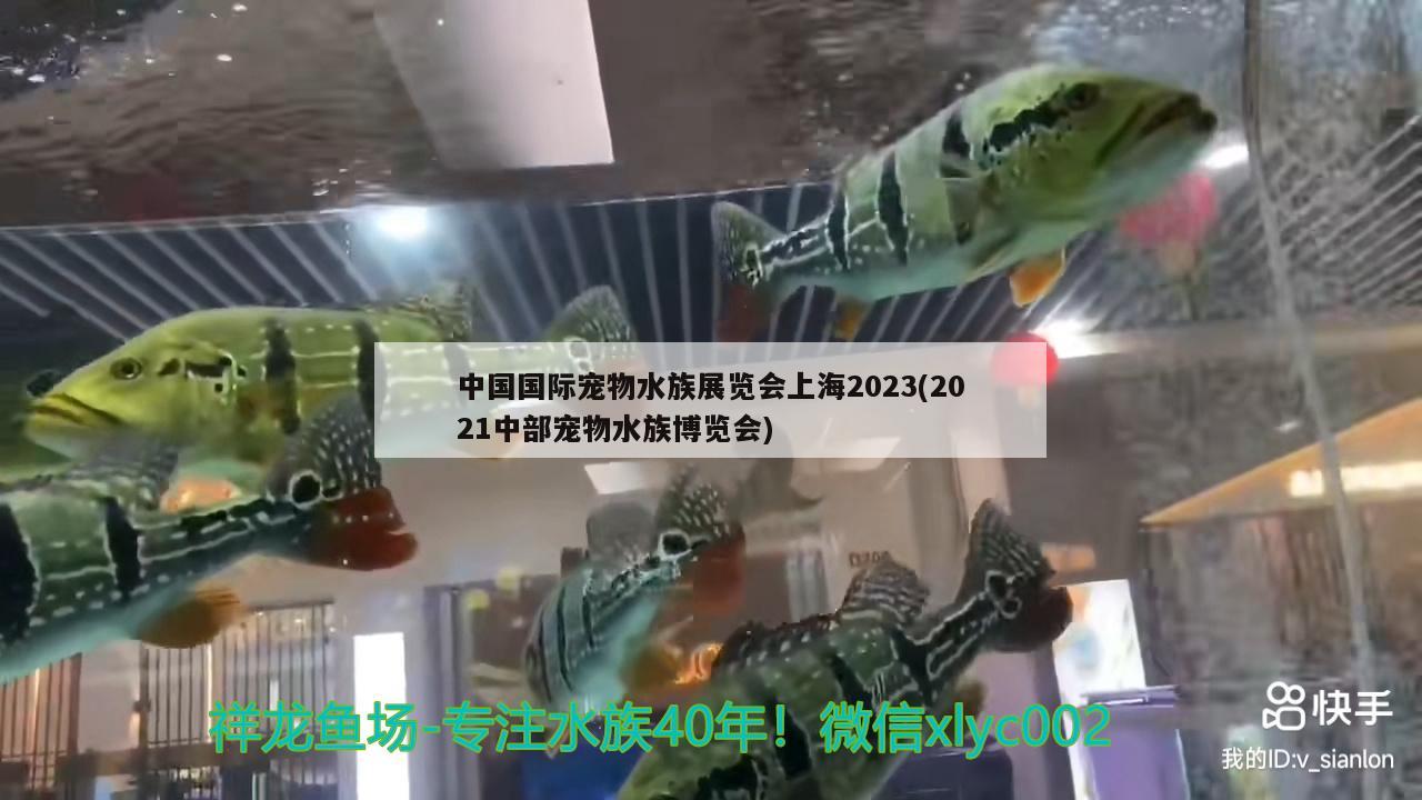 中國(guó)國(guó)際寵物水族展覽會(huì)上海2023(2021中部寵物水族博覽會(huì)) 水族展會(huì)