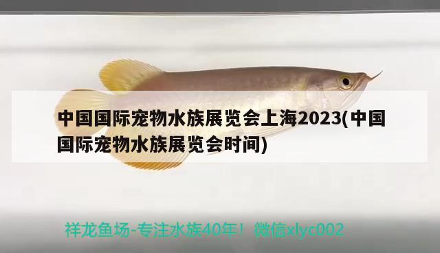 中國國際寵物水族展覽會上海2023(中國國際寵物水族展覽會時間) 水族展會