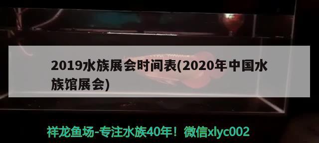 2019水族展會時間表(2020年中國水族館展會)