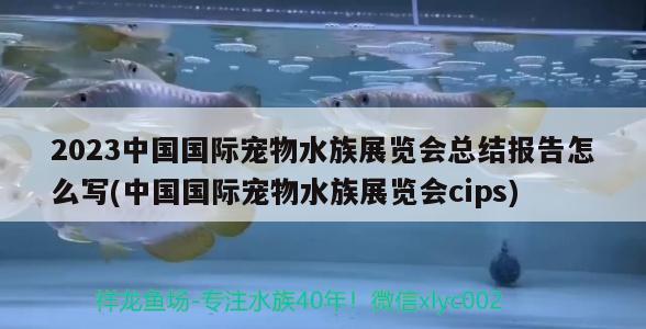 2023中國國際寵物水族展覽會總結報告怎么寫(中國國際寵物水族展覽會cips) 水族展會