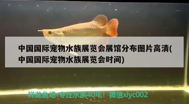 中國國際寵物水族展覽會展館分布圖片高清(中國國際寵物水族展覽會時間) 水族展會