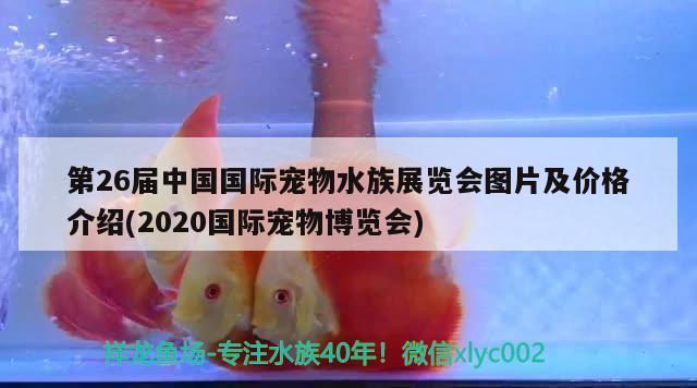 第26屆中國國際寵物水族展覽會(huì)圖片及價(jià)格介紹(2020國際寵物博覽會(huì))