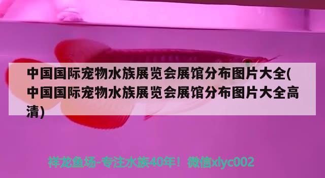 中國(guó)國(guó)際寵物水族展覽會(huì)展館分布圖片大全(中國(guó)國(guó)際寵物水族展覽會(huì)展館分布圖片大全高清)