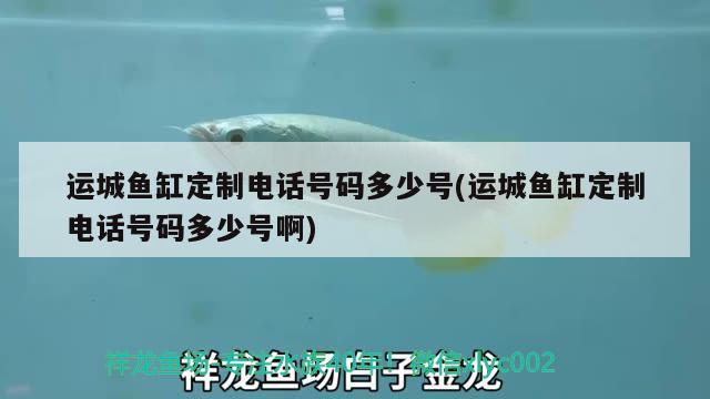 運(yùn)城魚(yú)缸定制電話號(hào)碼多少號(hào)(運(yùn)城魚(yú)缸定制電話號(hào)碼多少號(hào)啊) 圣菲埃及魚(yú)